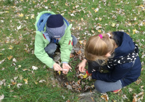 Jesienny park, dwoje uczniów obserwuje przy użyciu lup elementy przyrody.