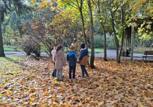 Jesienny park, dzieci rozpoznają rosnące w lesie drzewa.