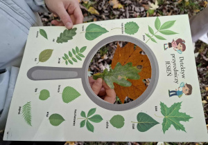 Jesienny park, dzieci rozpoznają znalezione w parku liście drzew.