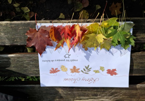 Jesienny park, kolory jesieni ułożone przez dzieci z jesiennych kolorowych liści.