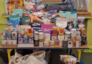 Sala lekcyjna, karma i akcesoria dla bezdomnych zwierząt zgromadzone podczas zbiórki w naszej szkole