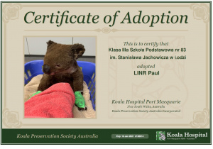 Certyfikat e - adopcji – elektroniczny dokument potwierdzający adopcję koali Paul przez klasę III a.