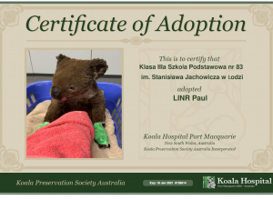 Adopcja koali